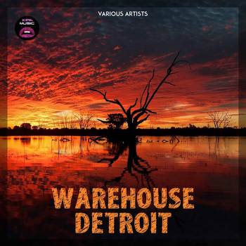 Various Artists - Warehouse Detroit