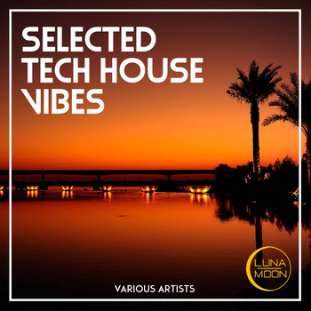 Various Artists - Selected Tech House Vibes