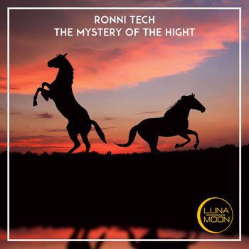 Ronni Tech - The Mystery of the Hight