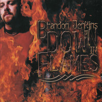 Brandon Jenkins - Down in Flames