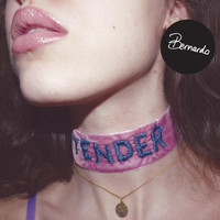 Bernardo - Tender