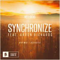 Hellberg - Synchronize (VIP Mix / Acoustic)
