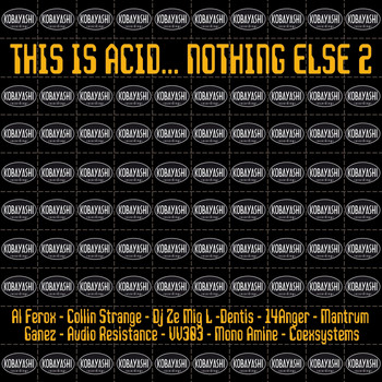 Various Artists - This Is Acid... Nothing Else 2