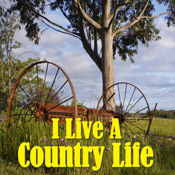 Various Artists - I Live A Country Life