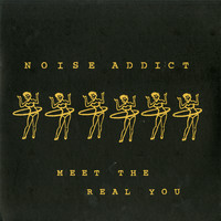Noise Addict - Meet the Real You