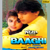Anand - Milind - Baaghi (Original Motion Picture Soundtrack)