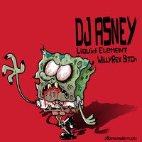 Dj Asney - Liquid Element