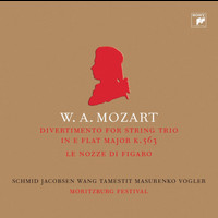 Jan Vogler - Mozart: Divertimento