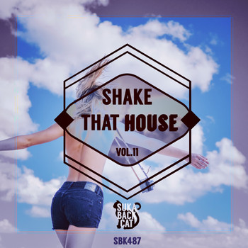 Various Artists - Shake That House, Vol. 11