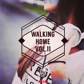 Various Artists - Walking Home, Vol. 11