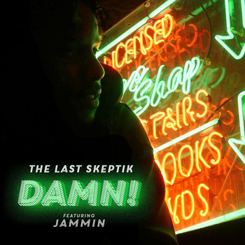 The Last Skeptik - Damn! (Explicit)