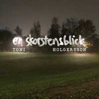 Toni Holgersson - En skorstensblick