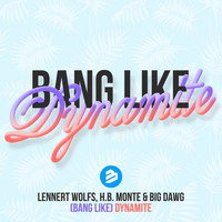 Lennert Wolfs, H.B.Monte & Big Dawg - Bang Like Dynamite Radio Edit