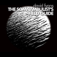 David Fyans - The Somnambulist's Field Guide