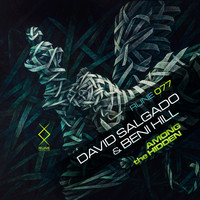David Salgado - Among The Hidden