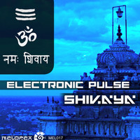 Electronic Pulse - Shivaya