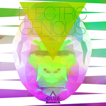 Various Artists - Electric Genious,Vol. 2