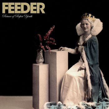 Feeder - Picture of Perfect Youth