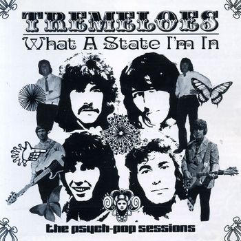 The Tremeloes - What a State I'm In: The Psych-Pop Sessions