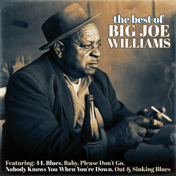 Big Joe Williams - The Best of Big Joe Williams