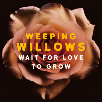 Weeping Willows - Wait for Love to Grow