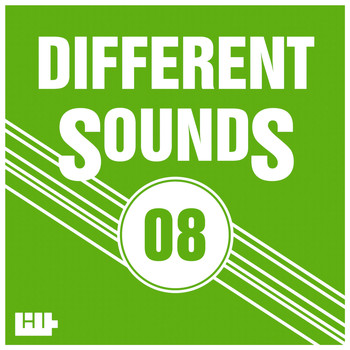 Various Artists - Different Sounds, Vol.8