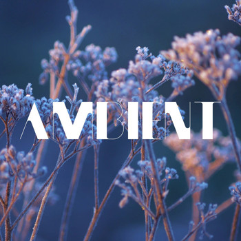 Various Artists - Ambient