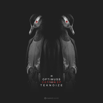 Optimuss & Teknoize - Catton