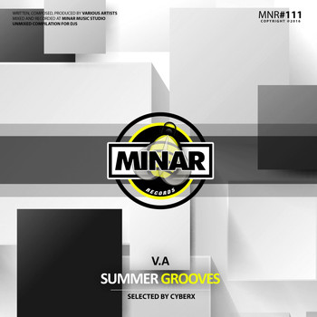 Various Artists - Summer Grooves