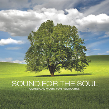 Yuri Sazonoff & Camille Saint-Saens - Sound for the Soul: Classical Music for Relaxation