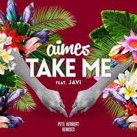 Aimes feat. Javi - Take Me (Pete Herbert Remixes)