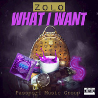 Zolo - What I Want - Single (Explicit)