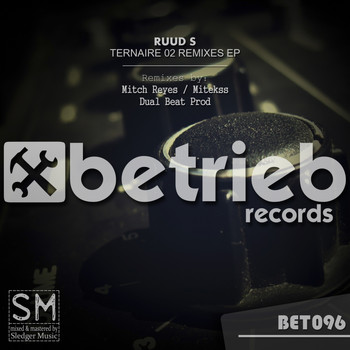 Ruud S - Ternaire 02 Remixes EP