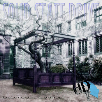 Solid State Drive - Insomnia Blooms
