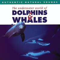 Natural Sounds - Authentic Natural Sounds: The Underwater World of Dolphins & Whales