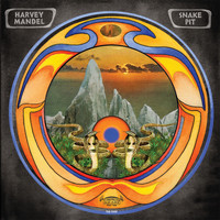 Harvey Mandel - Ode to B.B.