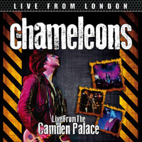 The Chameleons - Live From London