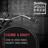 Koznik & Khavy - Kung Fu / Insanity
