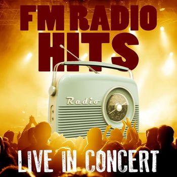 Various Artists - FM Radio Hits Live In Concert