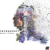 Maddy O'Neal - Introspect (Explicit)