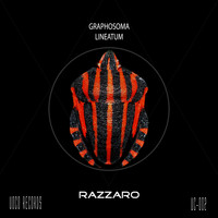 Razzaro - Graphosoma Lineatum