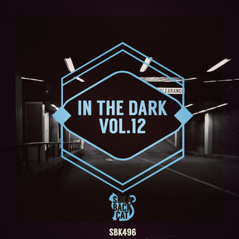 Various Artists - In the Dark, Vol. 12