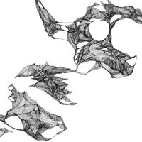 Zeti - Phoric