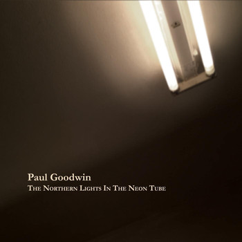 Paul Goodwin - The Northern Lights in the Neon Tube