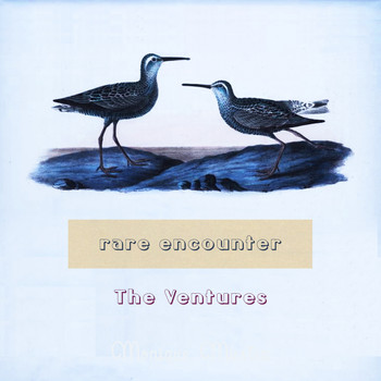 The Ventures - Rare Encounter