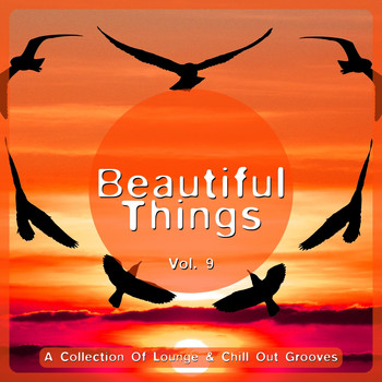 Various Artists - Beautiful Things, Vol. 9 (A Collection of Lounge & Chill out Grooves)