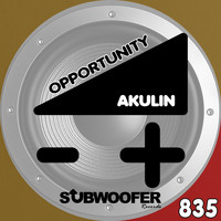 Akulin - Opportunity
