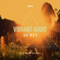 Vibrant Audio - So Hot