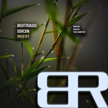 Buitrago, IDR3N - Insert