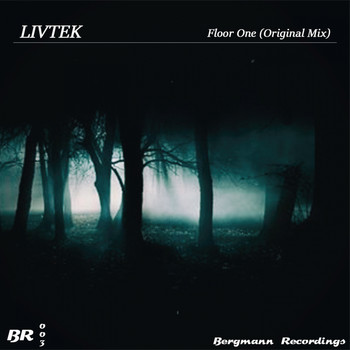 Livtek - Floor One